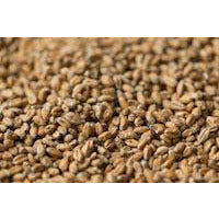 Gladfield Wheat Malt - Three Chins Brewing